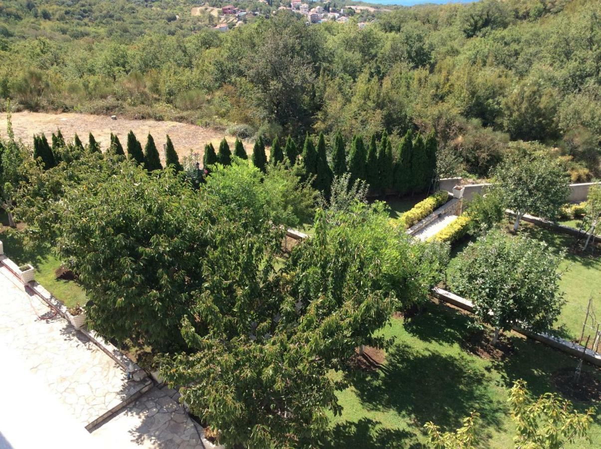 Vila Djordje Apartament Sveti Stefan Zewnętrze zdjęcie